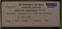 Image Associated With the Occurence